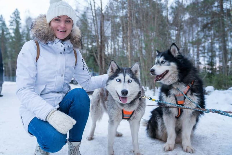 Rovaniemi: Husky Farm and Reindeer Experience - Key things to know before you go