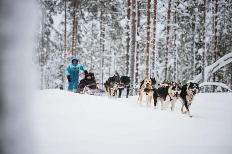 Rovaniemi: Husky Farm and Reindeer Experience - Why This Husky and Reindeer Combo Works in Rovaniemi