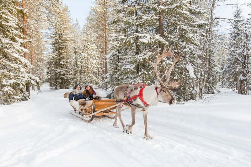 Rovaniemi: Husky Farm and Reindeer Experience - Food, Snacks, and What Breaks You Actually Get