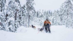 Rovaniemi: Husky Farm Visit with a Sledge Ride - What’s Actually Included: Gear, Guide, Ride, and Kennel Time