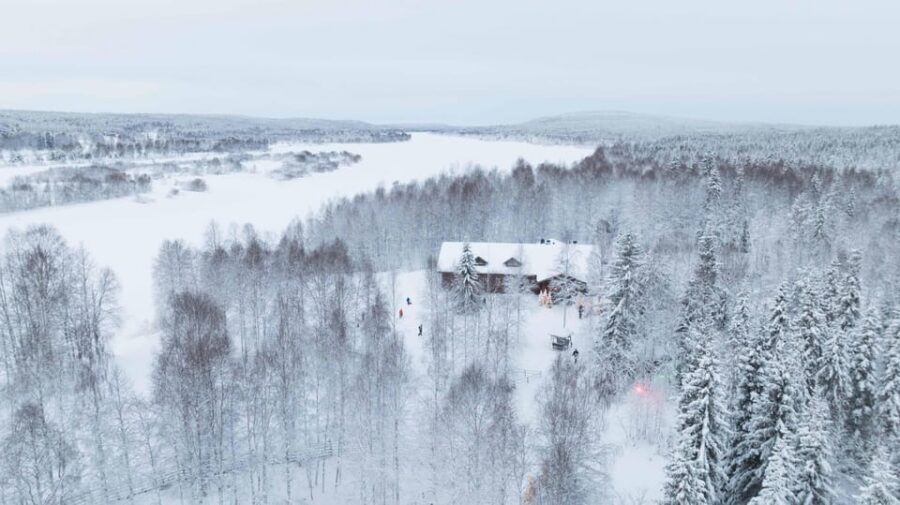 Rovaniemi: Husky Farm Visit with a Sledge Ride - The Kennel Hugging Session: Where This Tour Wins