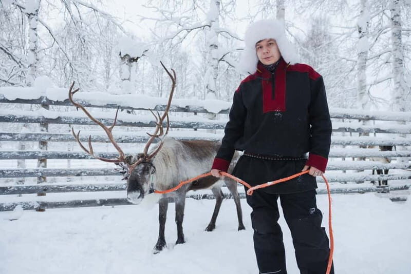 Rovaniemi: Husky & Reindeer Experience with Snowmobile Ride - Key highlights you’ll actually notice