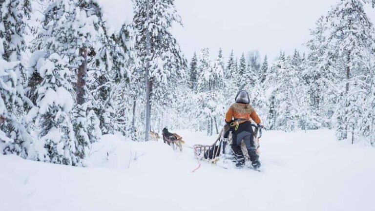 Rovaniemi: Husky & Reindeer Experience with Snowmobile Ride - Start smart: meeting points, timing, and winter kit