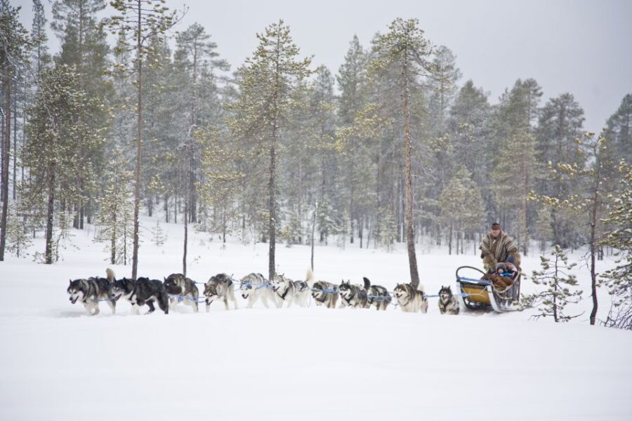 Rovaniemi: Husky & Reindeer Experience with Snowmobile Ride - Santa Claus Village time: the bonus stop you can control