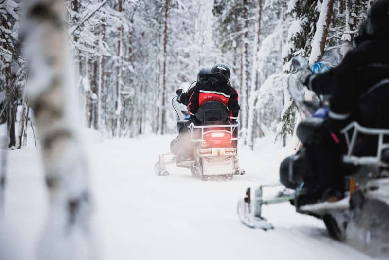 Rovaniemi: Husky & Reindeer Experience with Snowmobile Ride - Price and value: is $225 reasonable in Lapland terms?