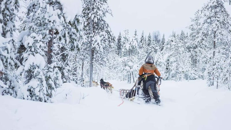 Rovaniemi: Husky & Reindeer Experience with Snowmobile Ride - Start smart: meeting points, timing, and winter kit