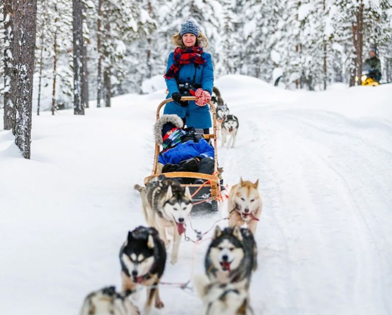 Rovaniemi: Husky Safari on a Snowy Trail - Warming Up With Blueberry Juice and Finnish Gingerbread