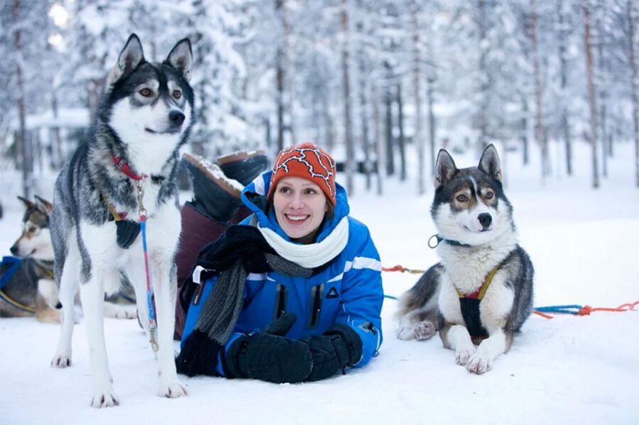 Rovaniemi: Husky Safari on a Snowy Trail - Should You Book This Husky Safari in Rovaniemi?