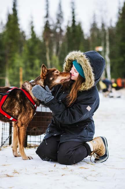 Rovaniemi: Husky Sled Ride and Farm Visit - The husky sled ride: short distance, real winter speed
