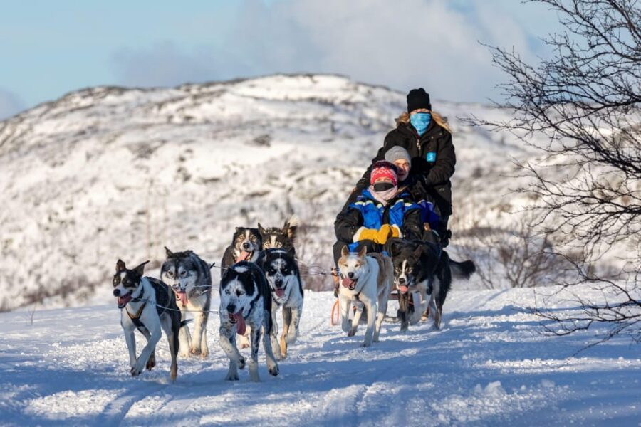Rovaniemi: Husky Sled Ride and Farm Visit - Snacks, cookies, and the food math