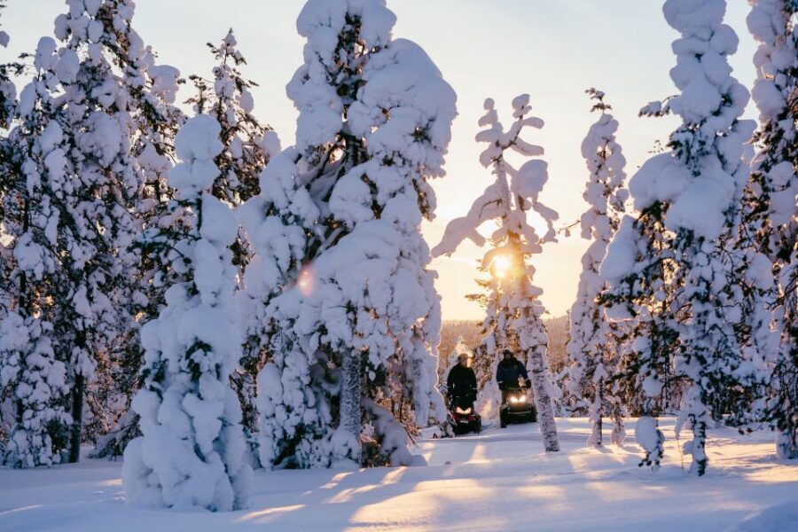 Rovaniemi: Ice Fishing & Snowmobile Safari Combo Day - Bonfire warm-up: sausages, hot drinks, and wildlife talk