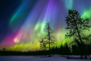 Rovaniemi: Ice Floating in Forest Lake with Aurora Borealis - Pickup, timing, and what 2.5 hours feels like