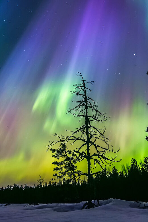Rovaniemi: Ice Floating in Forest Lake with Aurora Borealis - Warm drinks and gingerbread: the “brilliant finish” you don’t want to skip