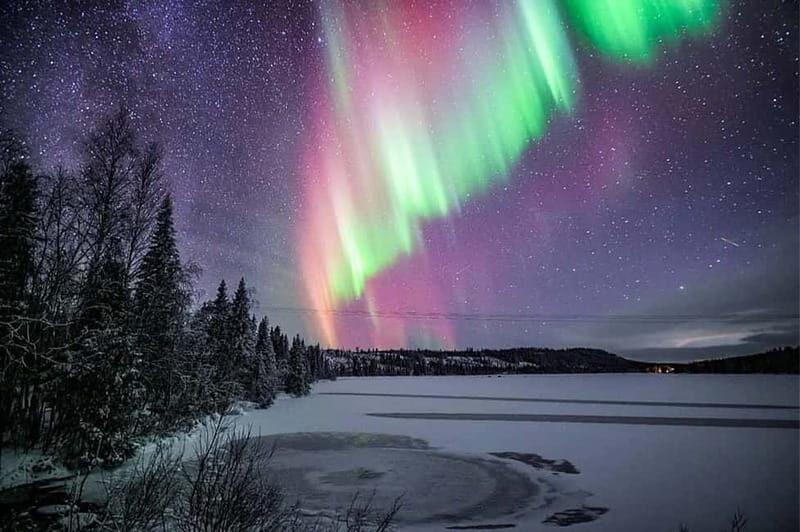 Rovaniemi: Ice Floating in Forest Lake with Aurora Borealis - Who should book this ice-floating aurora tour