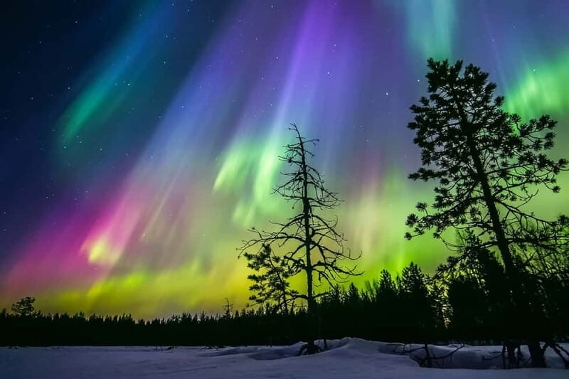 Rovaniemi: Ice Floating in Forest Lake with Aurora Borealis - Pickup, timing, and what 2.5 hours feels like