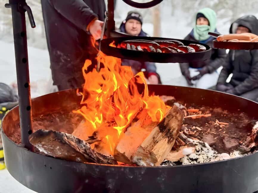 Rovaniemi: Korouoma Canyon & Frozen Waterfalls Tour with BBQ - Frozen Falls and Icy Slides: What You’ll Actually See in Korouoma