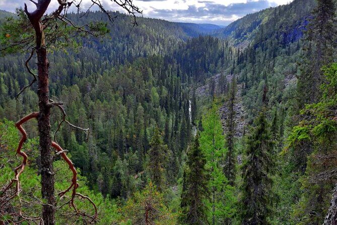 Rovaniemi Korouoma Canyon Hike and Barbecue Experience - Key Highlights at a Glance