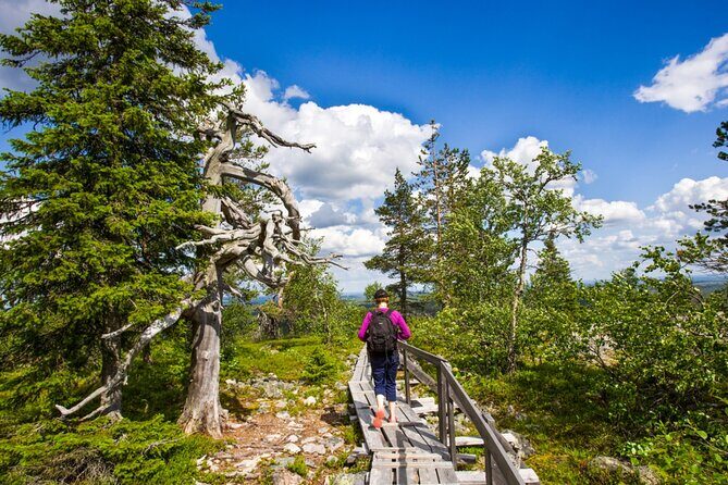Rovaniemi Korouoma Canyon Hike and Barbecue Experience - Korouoma Canyon: What You’ll Be Walking Toward