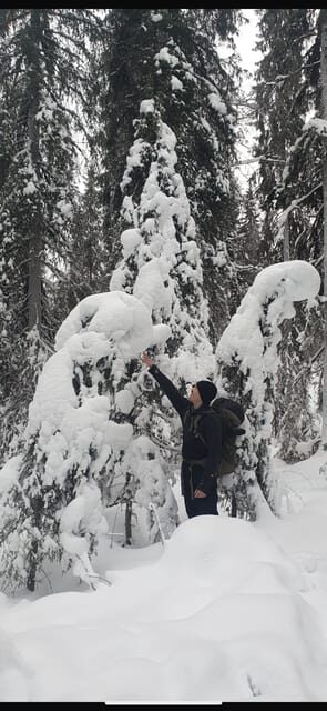 Rovaniemi: Korouoma Frozen Waterfalls Hike & Hot BBQ Lunch - Key highlights you’ll feel right away