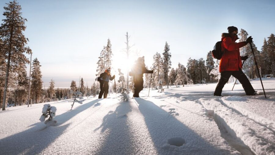 Rovaniemi: Lapland Ski Trekking Safari - Your first hour: safety, technique, and figuring out the skins