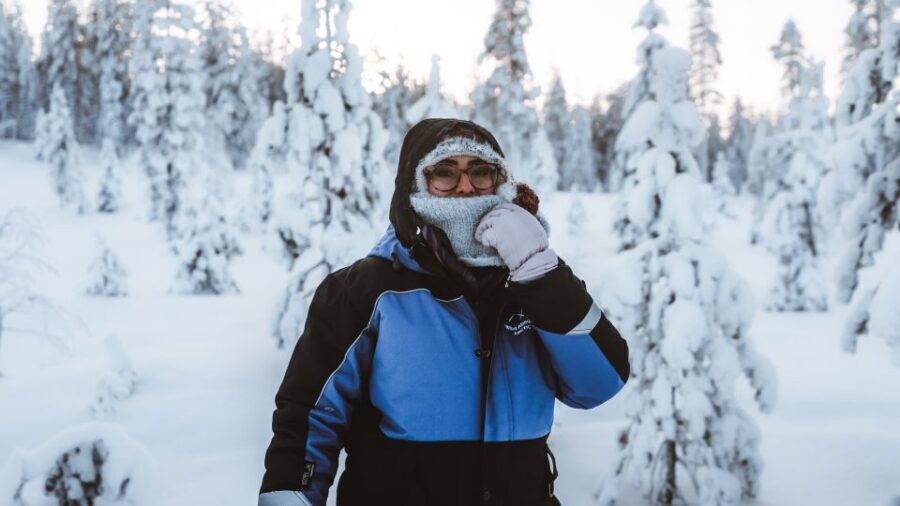 Rovaniemi: Lapland Ski Trekking Safari - The four-hour rhythm: Taiga forest, deep snow, and wide-open views