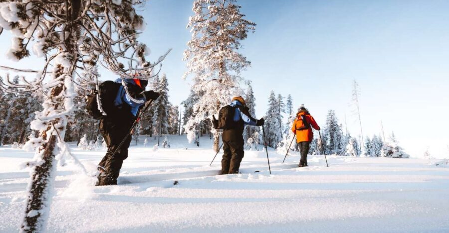 Rovaniemi: Lapland Ski Trekking Safari - Mid-trek campfire snack: the warm reset you’ll remember