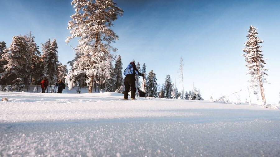 Rovaniemi: Lapland Ski Trekking Safari - Meeting, transport, and the gear handoff that matters