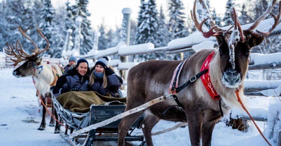 Rovaniemi: Local Reindeer Farm Visit with Sleigh Ride - The photographer-guide and edited photos: why this part is worth paying attention to