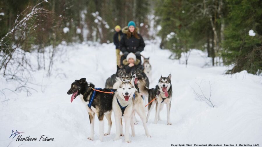 Rovaniemi: Meet Santa Claus, Reindeer Sleigh Ride & Huskies - Reindeer ride 400 meters: small dose, big smiles