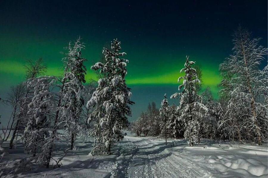 Rovaniemi: Northern Lights and Husky Sleigh Ride - Key Things You’ll Notice on This Rovaniemi Husky and Aurora Night