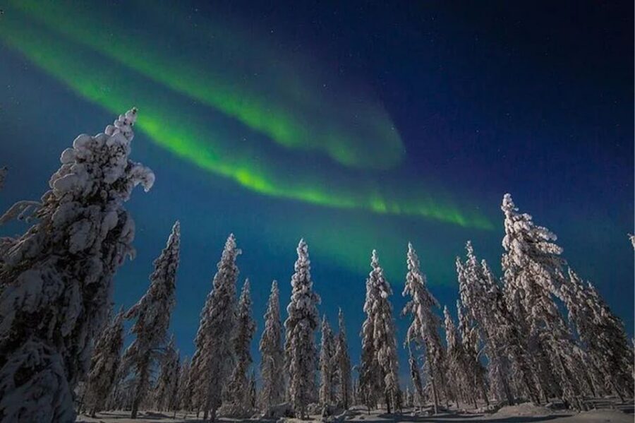 Rovaniemi: Northern Lights and Husky Sleigh Ride - FAQ