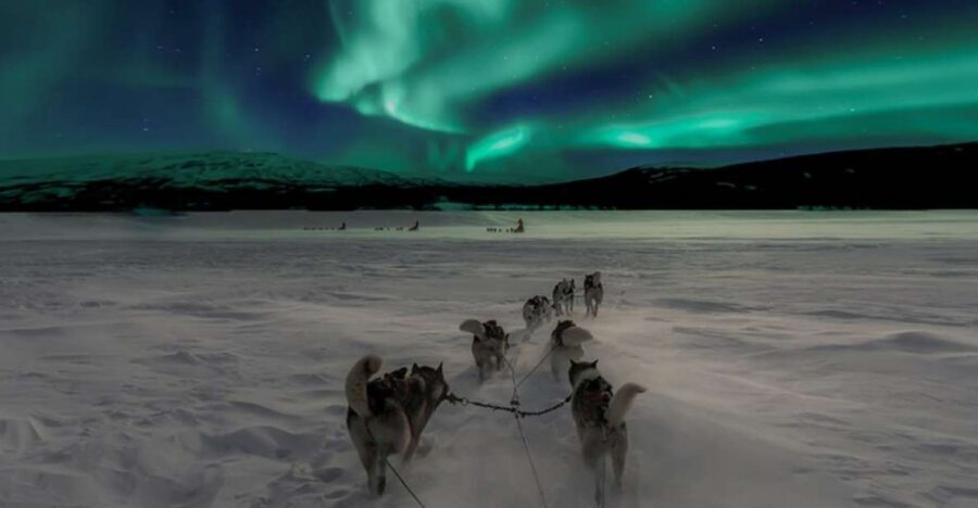Rovaniemi: Northern Lights and Husky Sleigh Ride - Price and Value: Is $269 Worth It?