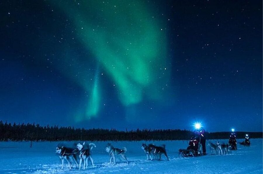 Rovaniemi: Northern Lights and Husky Sleigh Ride - Who This Tour Is Best For (and Who Should Skip It)