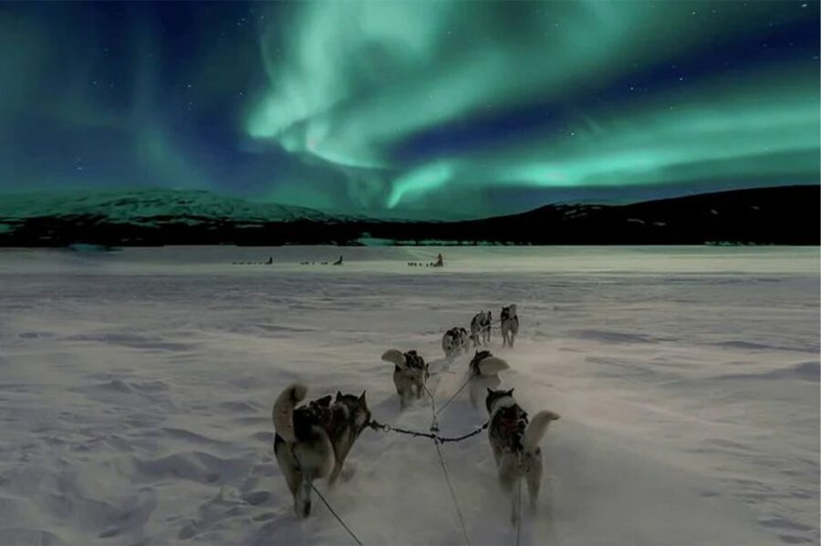 Rovaniemi: Northern Lights and Husky Sleigh Ride - Meeting the Dogs: Farm Welcome, Winter Gear, and the Local Rhythm