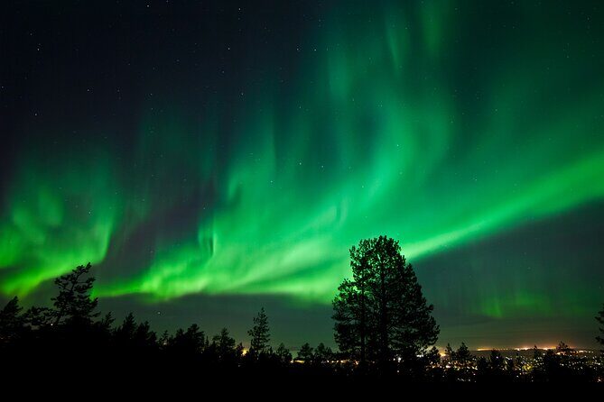 Rovaniemi: Northern Lights Group Tour - Guaranteed View - The Campfire and Hot Drinks Part: Small Comfort, Big Impact