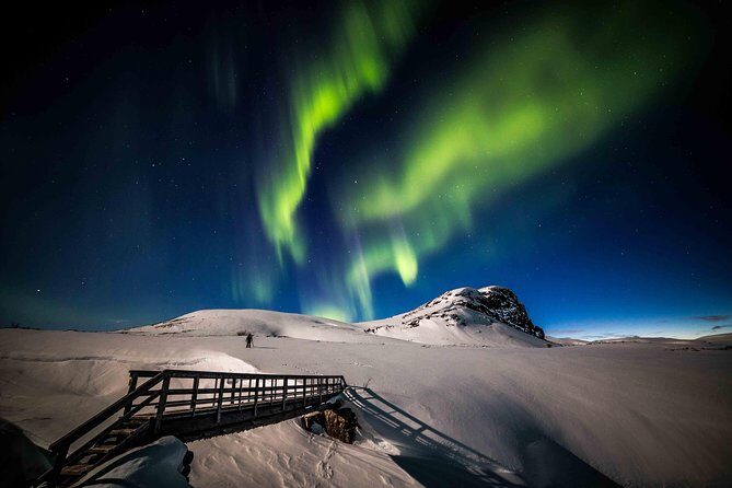 Rovaniemi Northern Lights Photography Small-Group Tour - Warm Drinks, Snacks, and BBQ Moments That Keep the Night Human