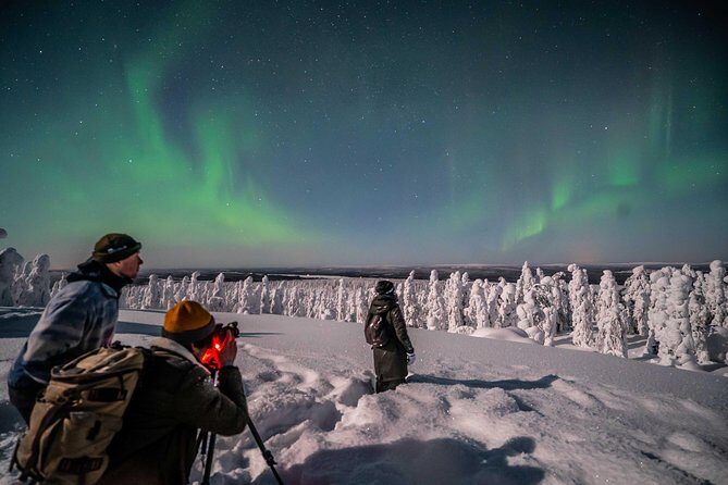 Rovaniemi Northern Lights Photography Small-Group Tour - Price vs Value: Is $175.43 a Smart Bet?