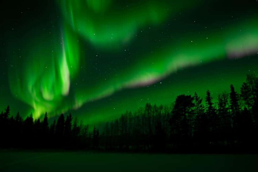 Rovaniemi: Northern Lights Photography Tour & BBQ - The campfire BBQ: warm fuel after dark-sky chasing