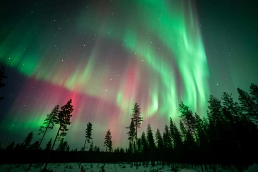 Rovaniemi: Northern Lights Photography Tour & BBQ - When the aurora stays low: how to handle a weather-dependent night