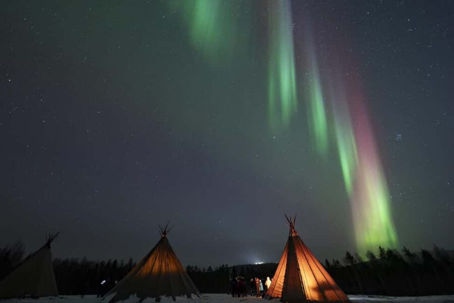 Rovaniemi: Northern Lights Photography Tour & BBQ - Price and value: what $104 buys you in 3.5 hours