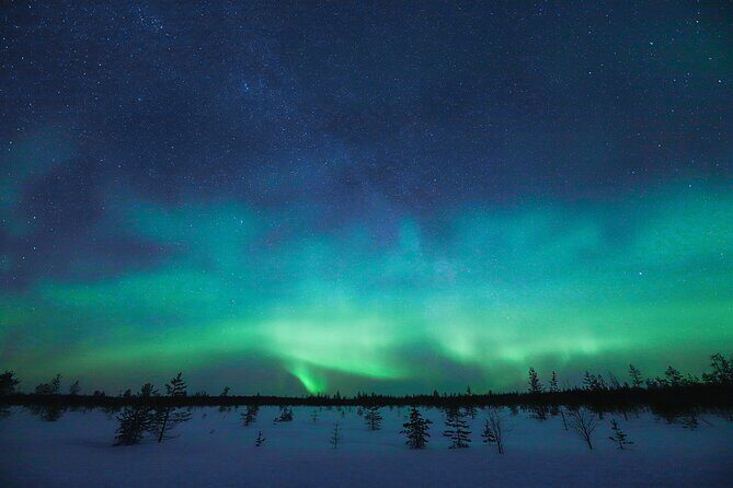 Rovaniemi: Northern Lights Pro Guaranteed - Unlimited Distance - Comfort plan: warm drinks, snacks, and thermal gear