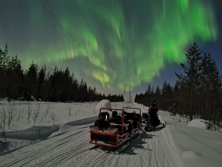 Rovaniemi: Northern Lights Sledge Ride - Guide-led comfort: the difference between a good trip and a great one