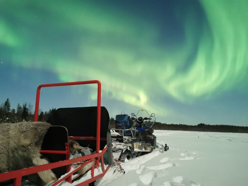 Rovaniemi: Northern Lights Sledge Ride - Cold-weather tips that will actually save your night