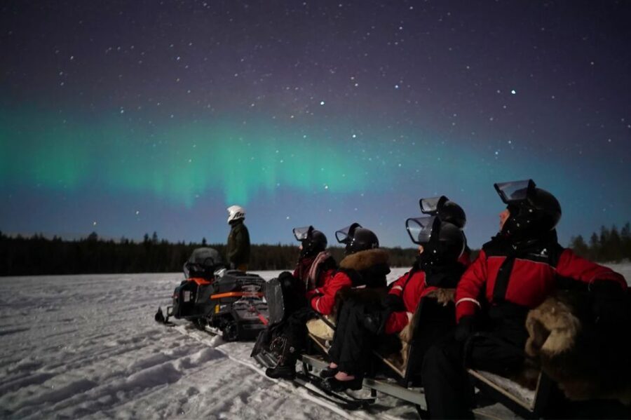 Rovaniemi: Northern Lights Sleigh Ride - Key points before you go