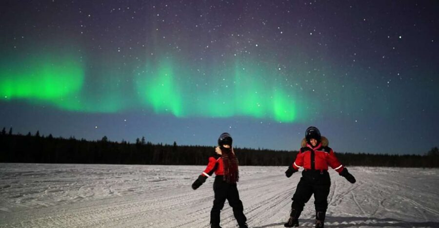 Rovaniemi: Northern Lights Sleigh Ride - The sleigh ride itself: comfort, speed, and the guide in control