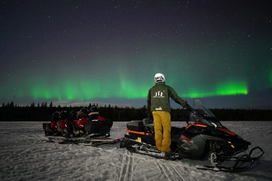 Rovaniemi: Northern Lights Sleigh Ride - Who this suits best (and who should rethink)