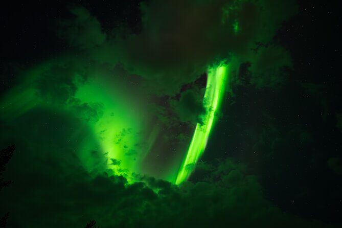 Rovaniemi: Northern Lights Small Group Money-Back Guarantee - Key highlights worth caring about