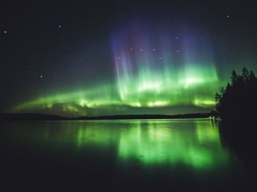 Rovaniemi: Northern Lights Tour with Guaranteed Sightings - Price and value: why $164 can make sense for the whole chase