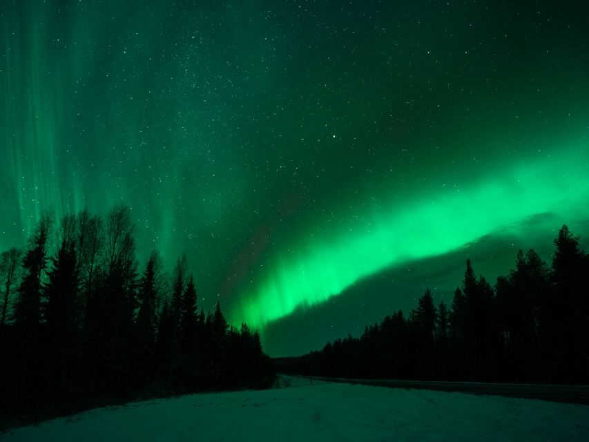 Rovaniemi: Northern Lights Tour with Guaranteed Sightings - Who should book this Northern Lights hunt in Rovaniemi