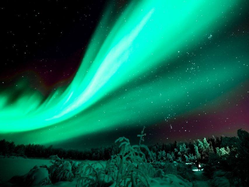 Rovaniemi: Northern Lights Tour with Guaranteed Sightings - How the Aurora Command Center turns waiting into strategy